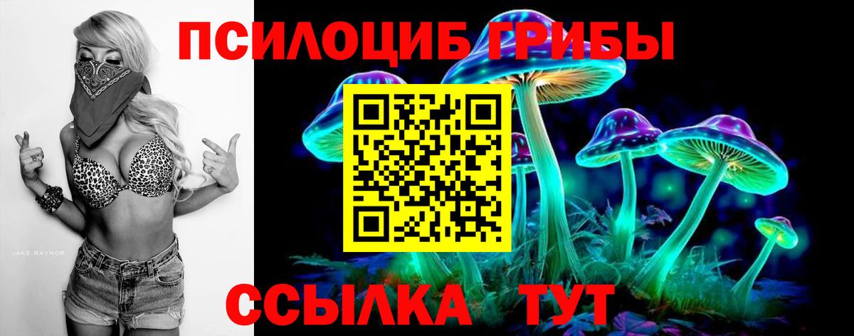 Галлюциногенные грибы Cubensis  Вход с VPN  Белая Калитва  Галлюциногенные грибы Magic Shrooms 